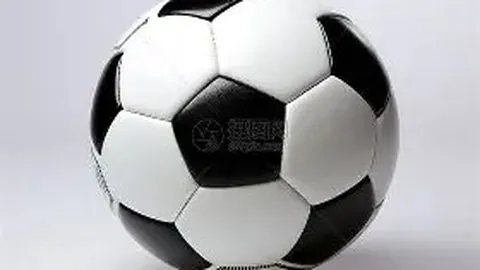 kaiyun·开云（中国）