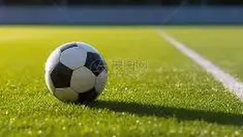 kaiyun·开云（中国）